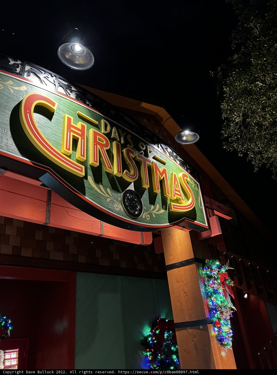 Illuminated Celebration at Disney Springs