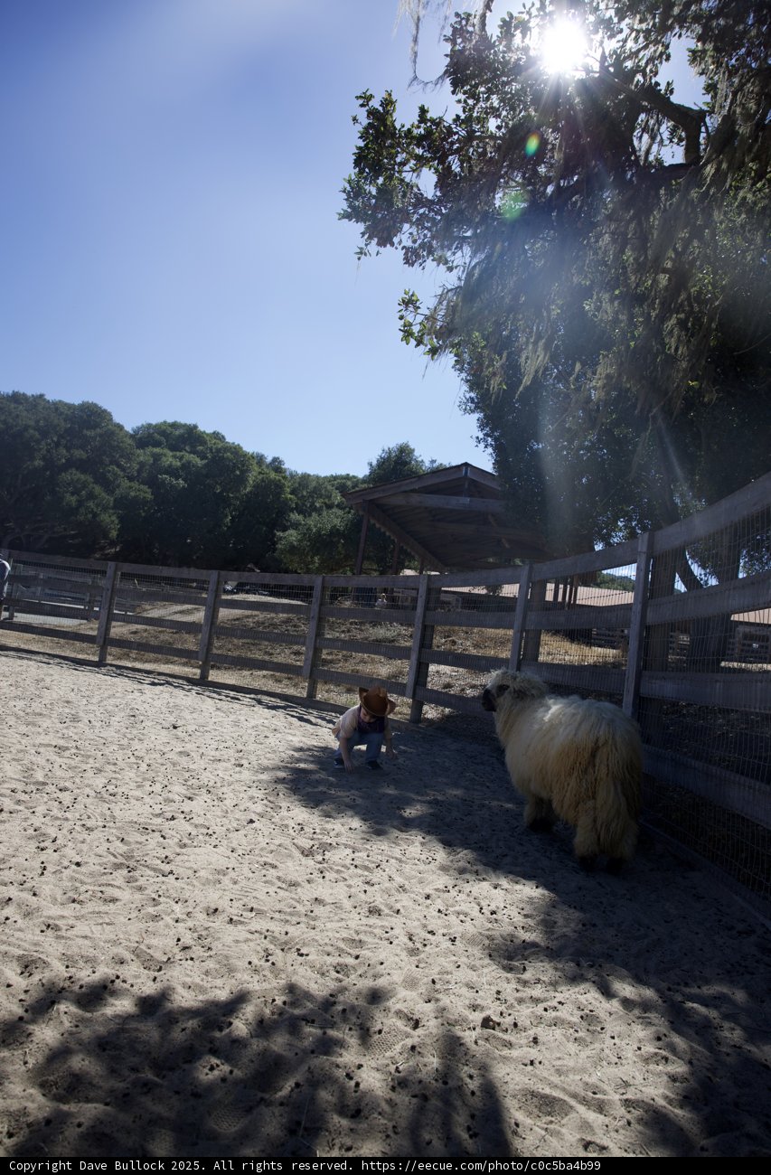 A Sunlit Encounter at Carmel Valley Ranch