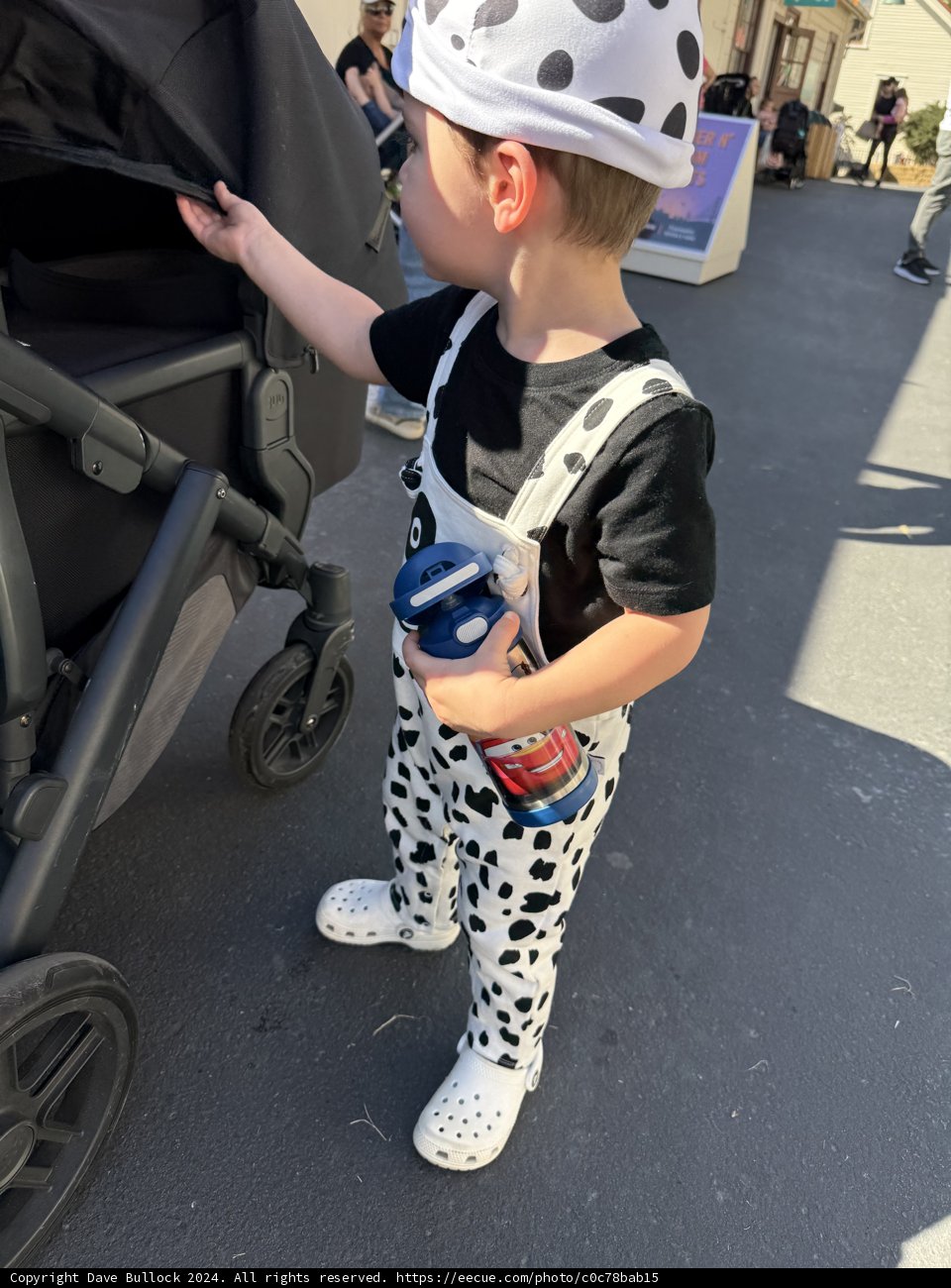 Polka Dot Adventurer