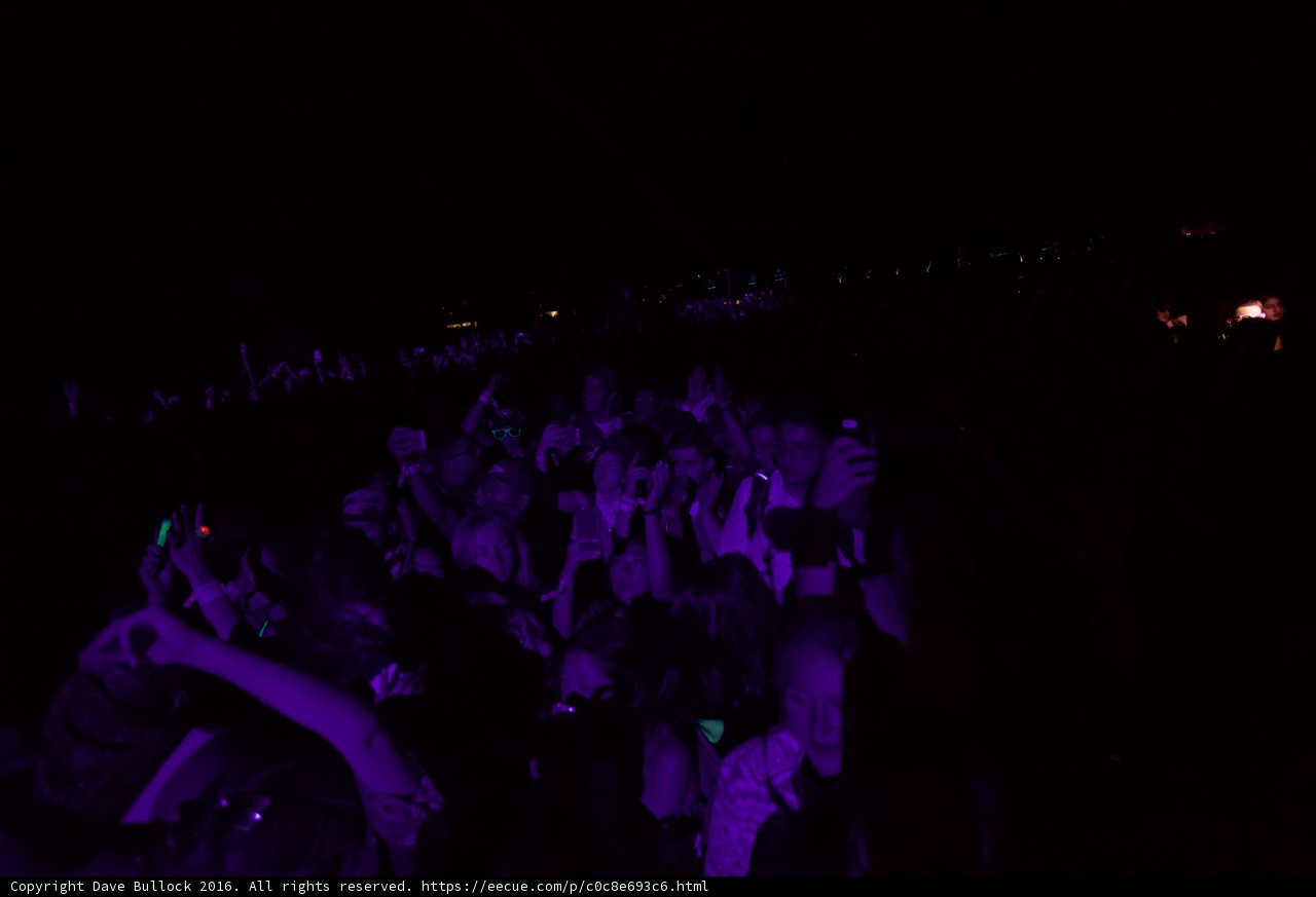 Purple Rave: A Night to Remember