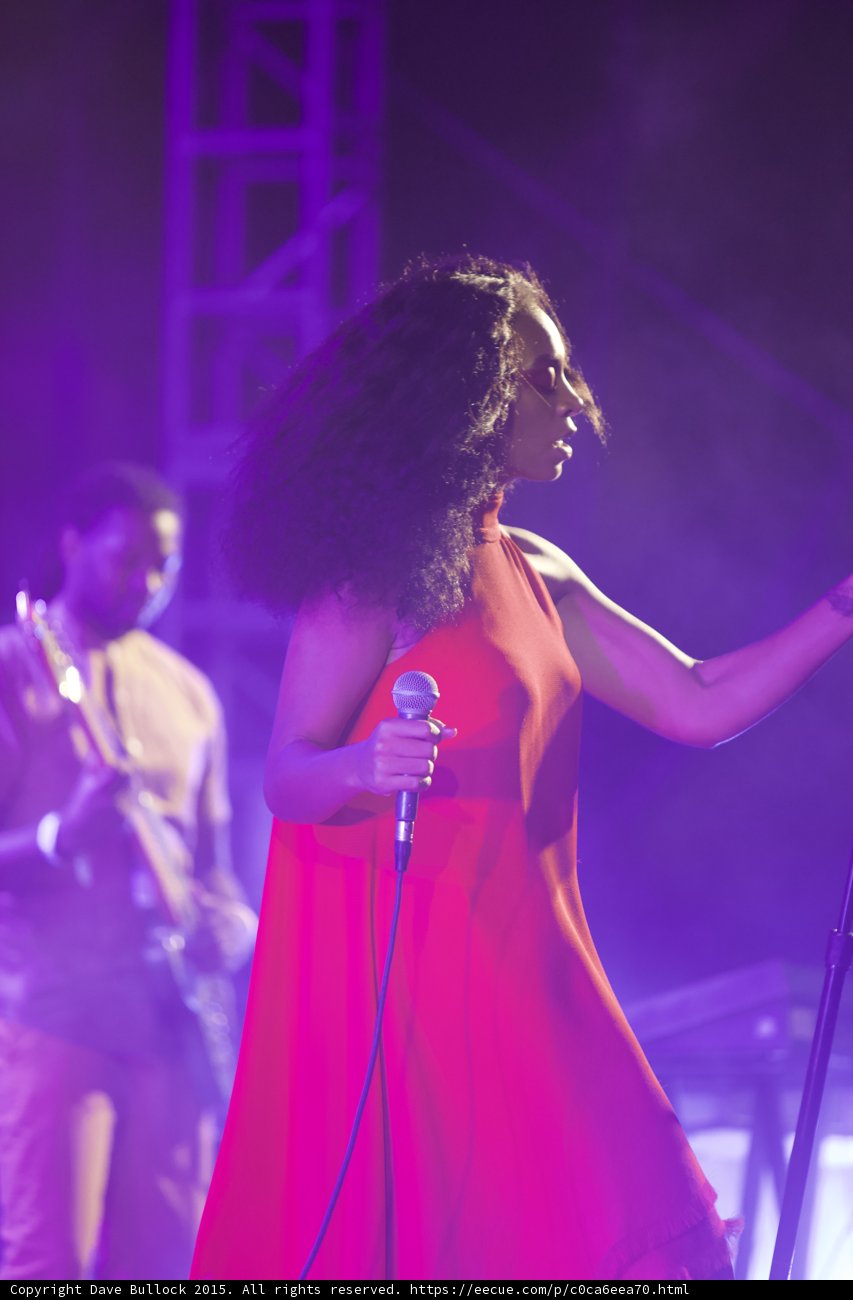 Solange Profile Arm Extended Saxophonist Scaffolding Purple Haze