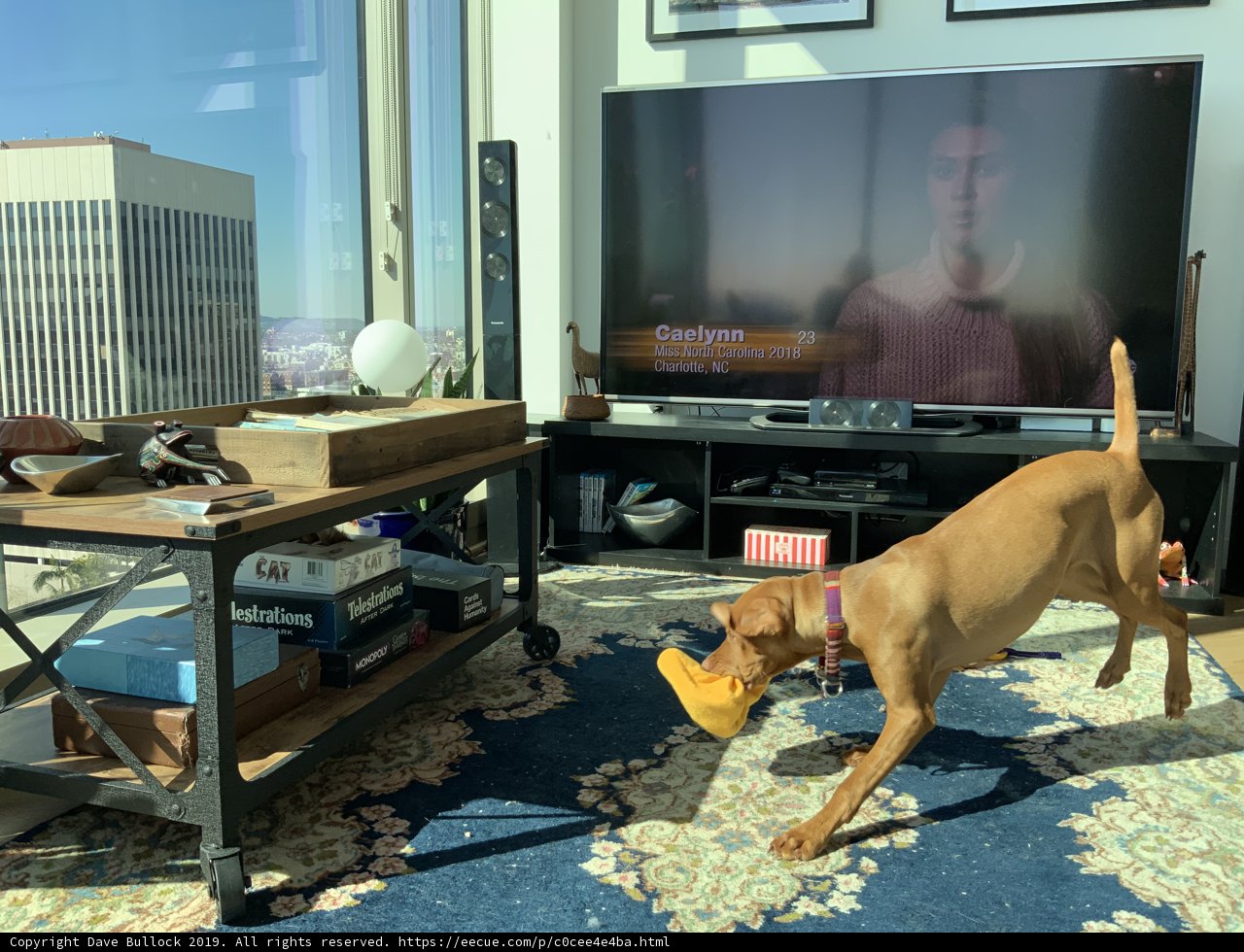 Playtime in the Living Room
