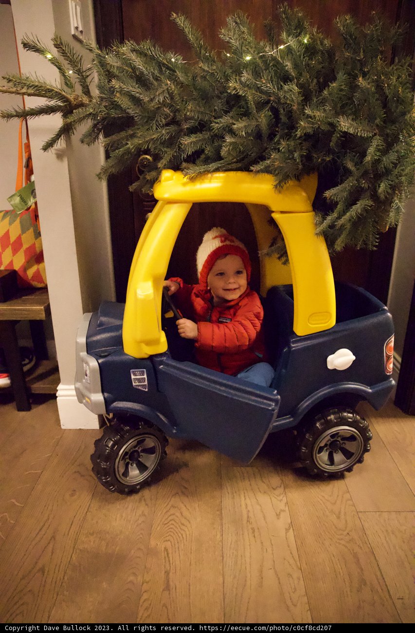 Wesley and His Yuletide Journey