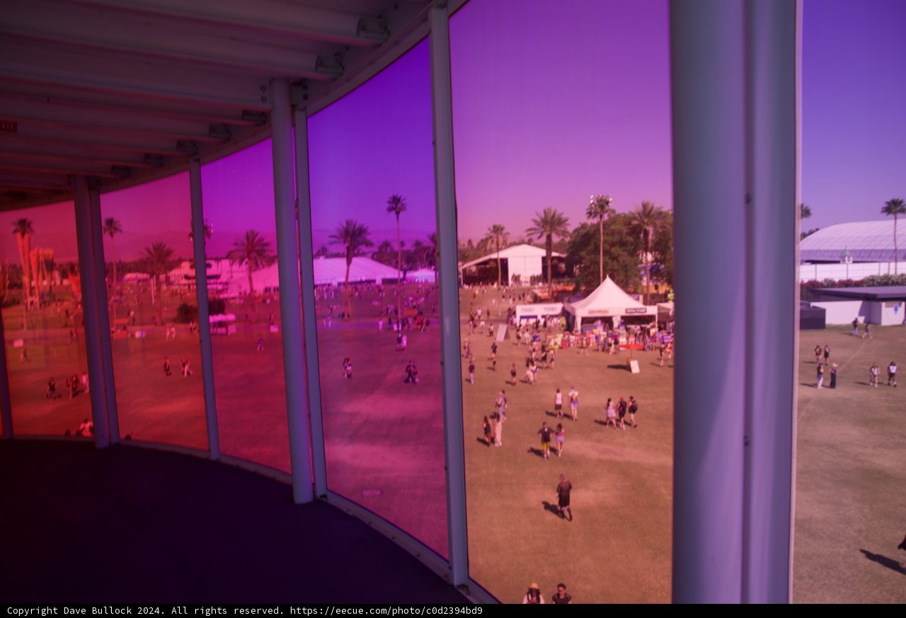 A Vivid View: Coachella 2024 Through Rose-Colored Glasses