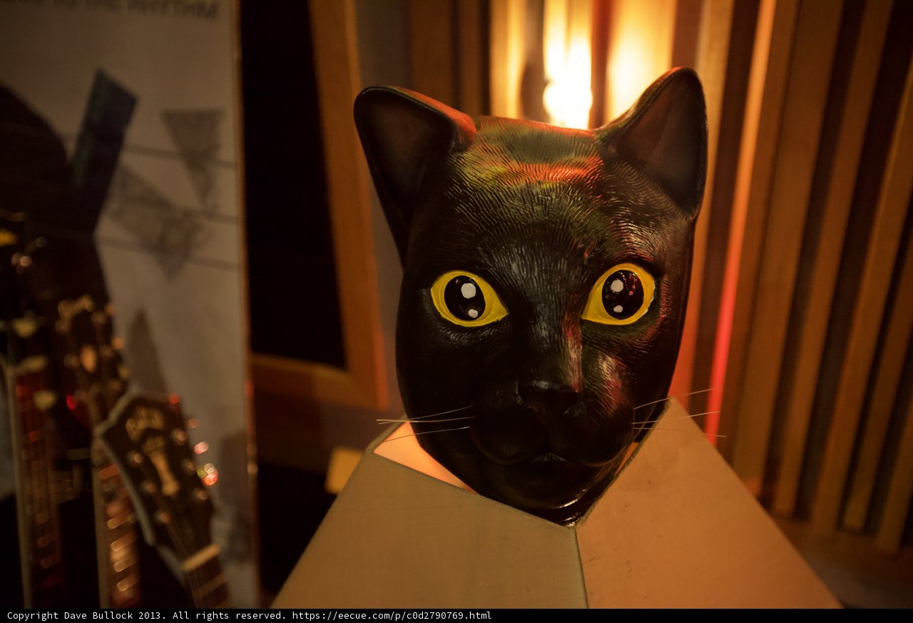 The Mysterious Black Cat Mask