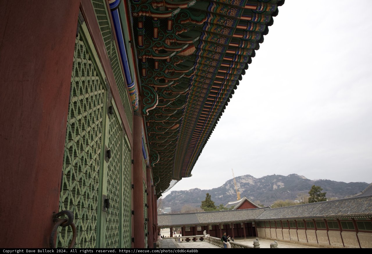 Architectural Harmony: The Meeting of Man-Made and Nature