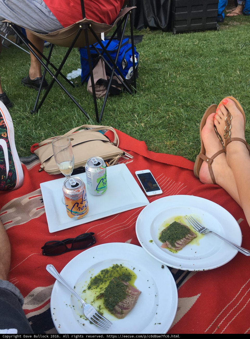 A Relaxing Picnic in Hancock Park