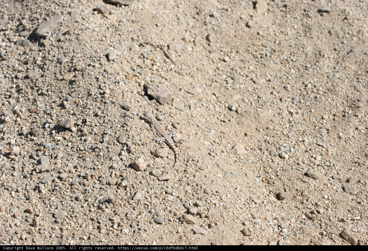 Rocky Dirt Road