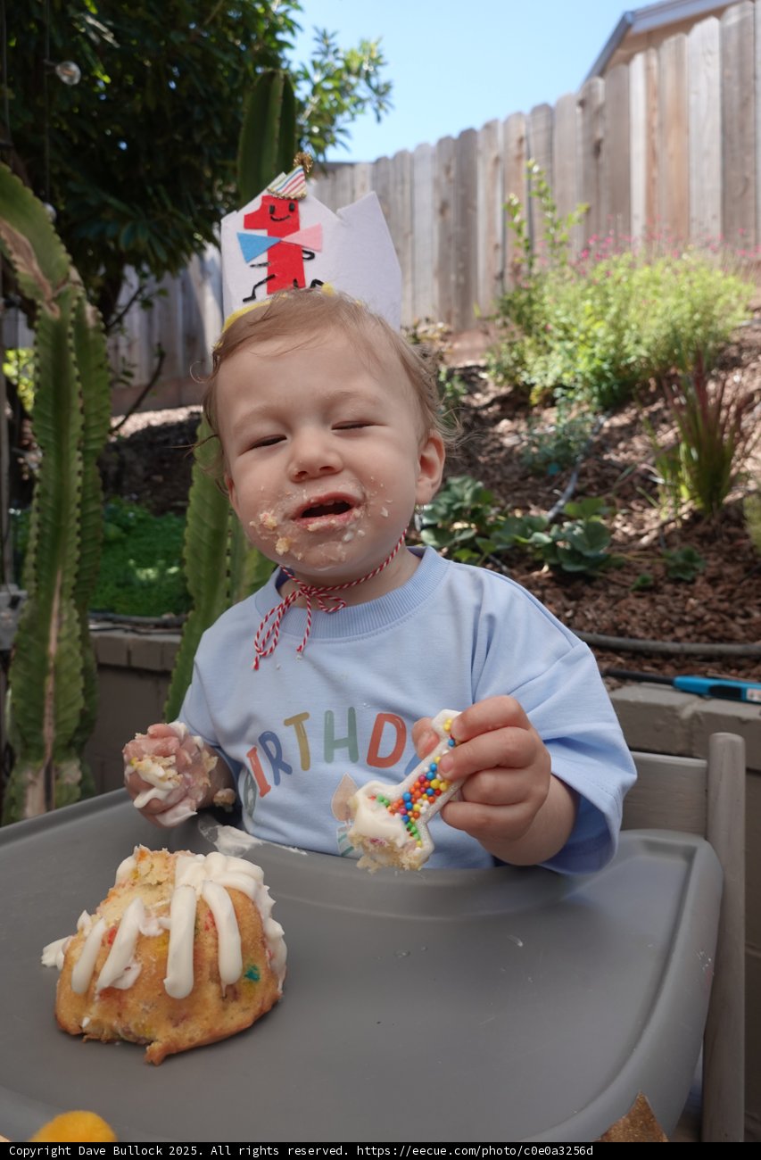 Birthday Bliss in the Backyard