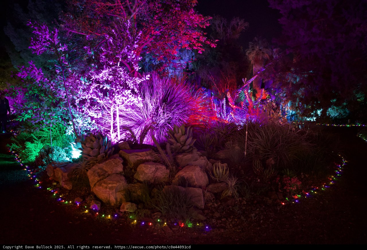 Enchanted Illuminations