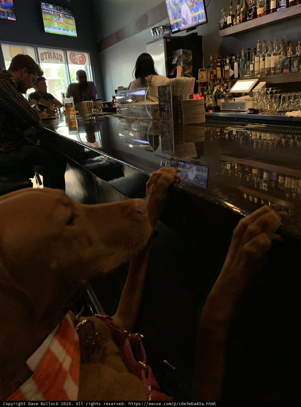 The Unforgettable Bar Experience