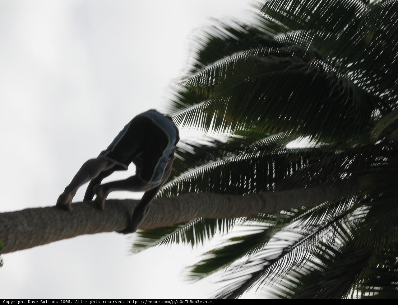 Scaling New Heights