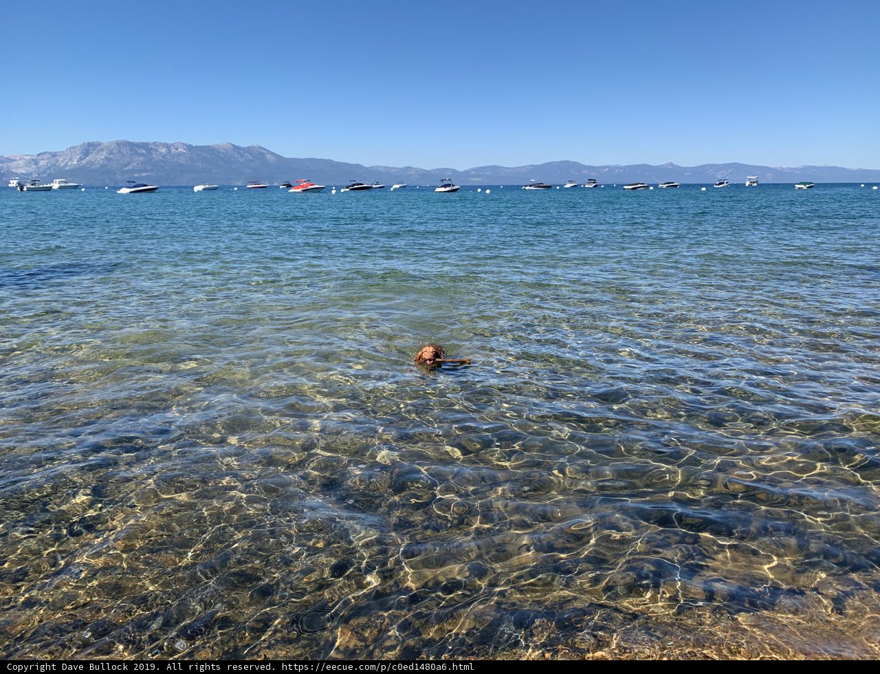 A Fun Day at the Lake