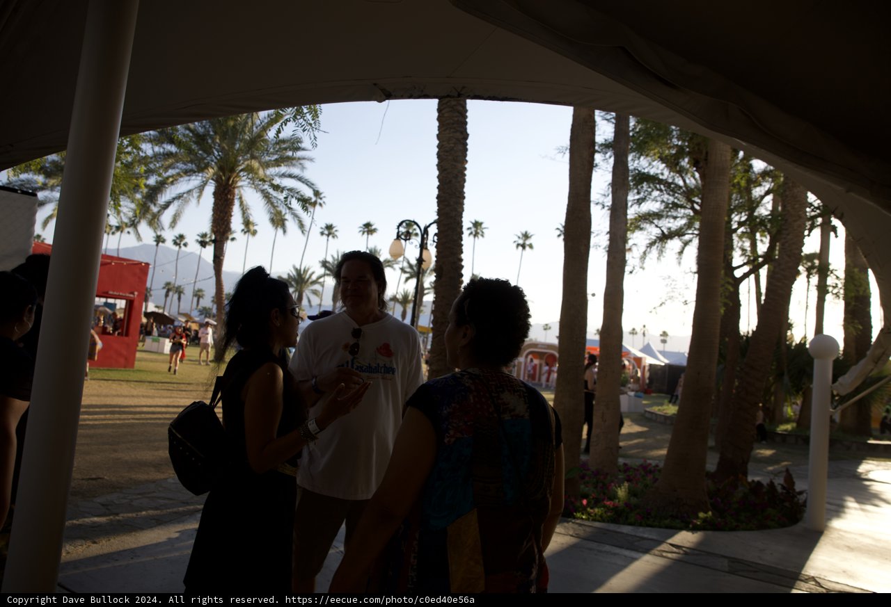 Conversations Amid Coachella Palms