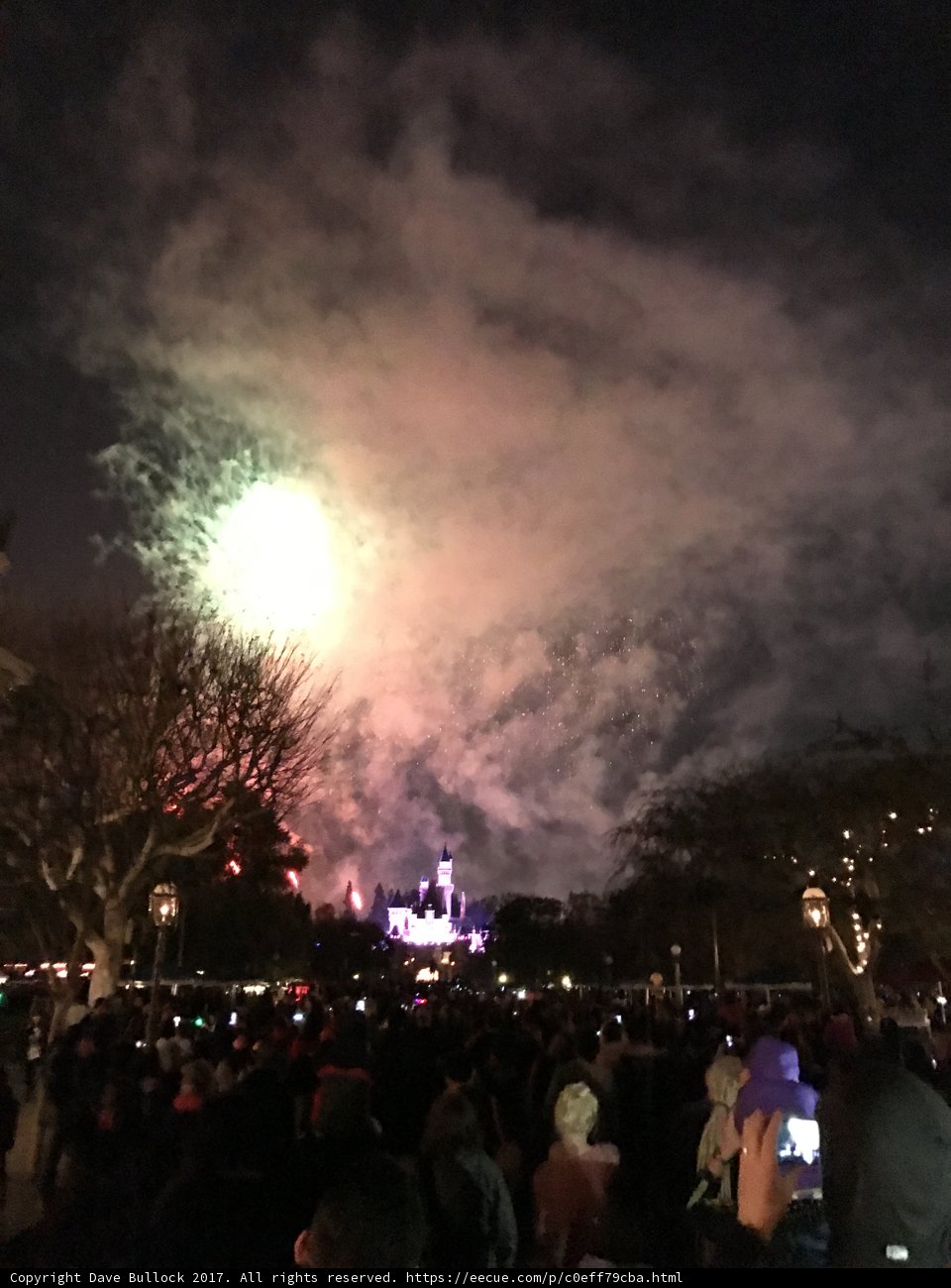 Spectacular Disney Fireworks Display