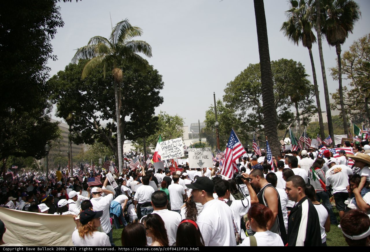 Gathering of Flags and Signs