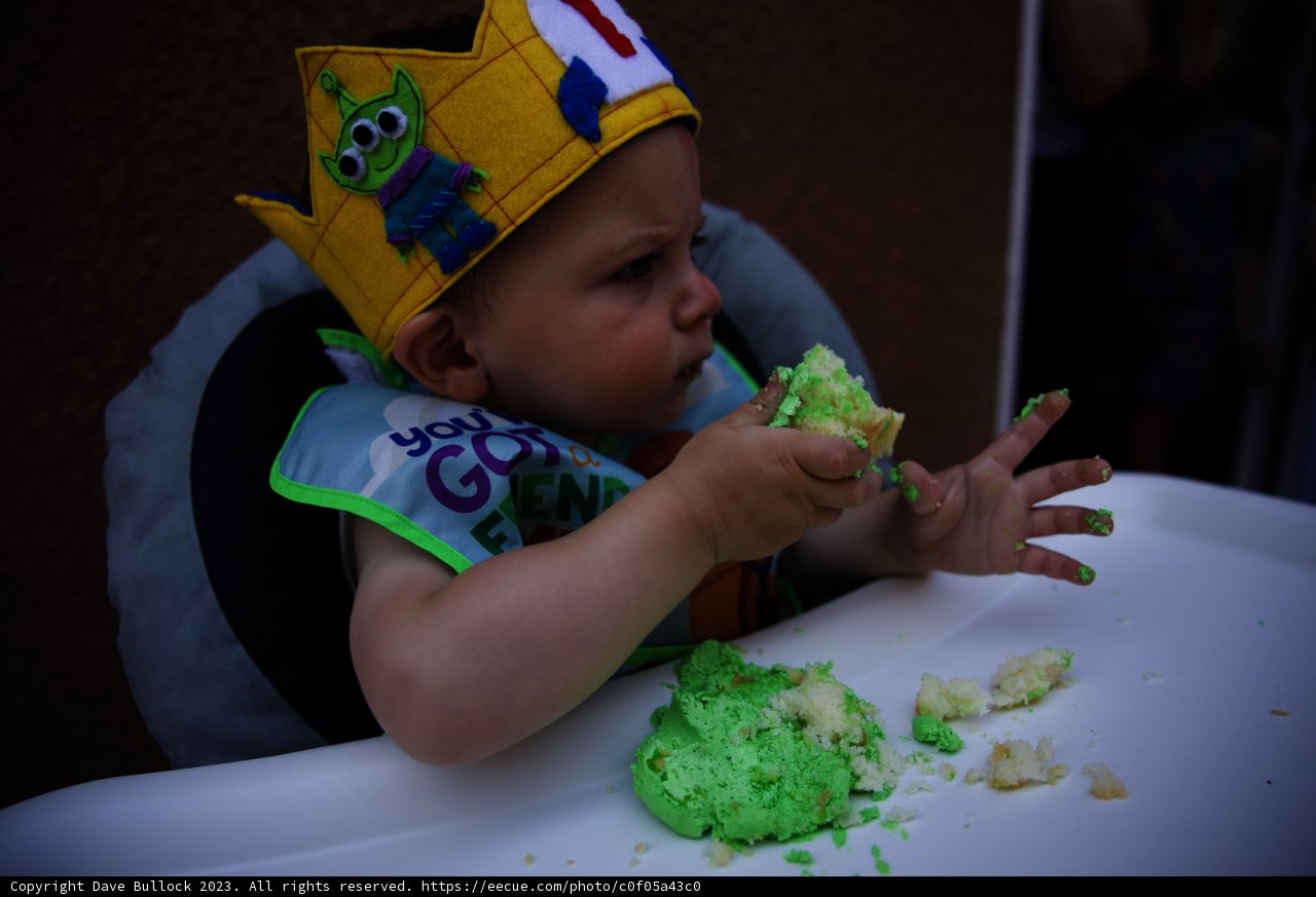 A Royal Celebration: Wesley Turns One!