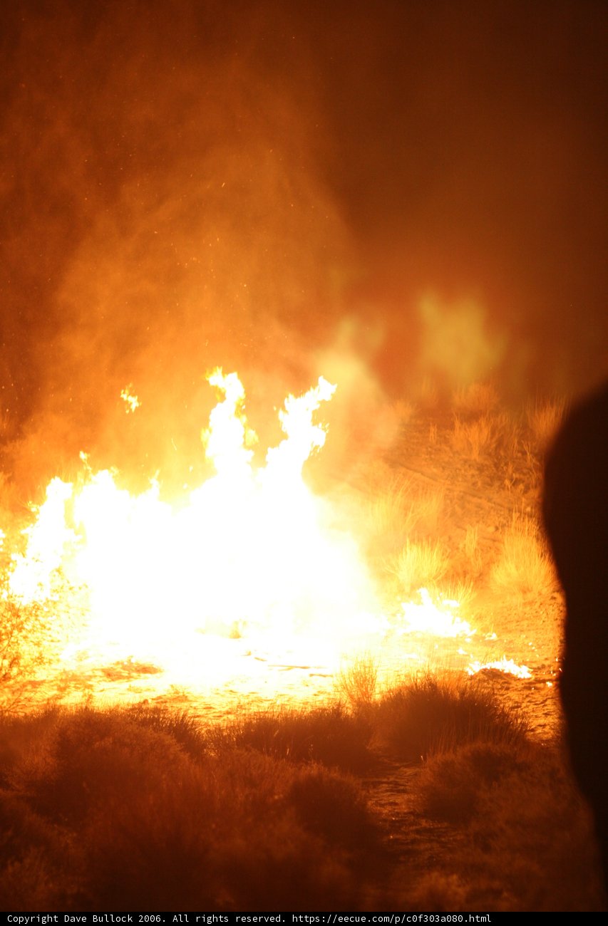 Blazing Bonfire in the Desert Night