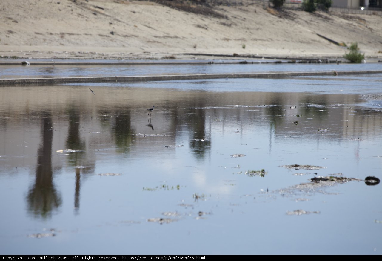 Solitude in the Flowing Waters