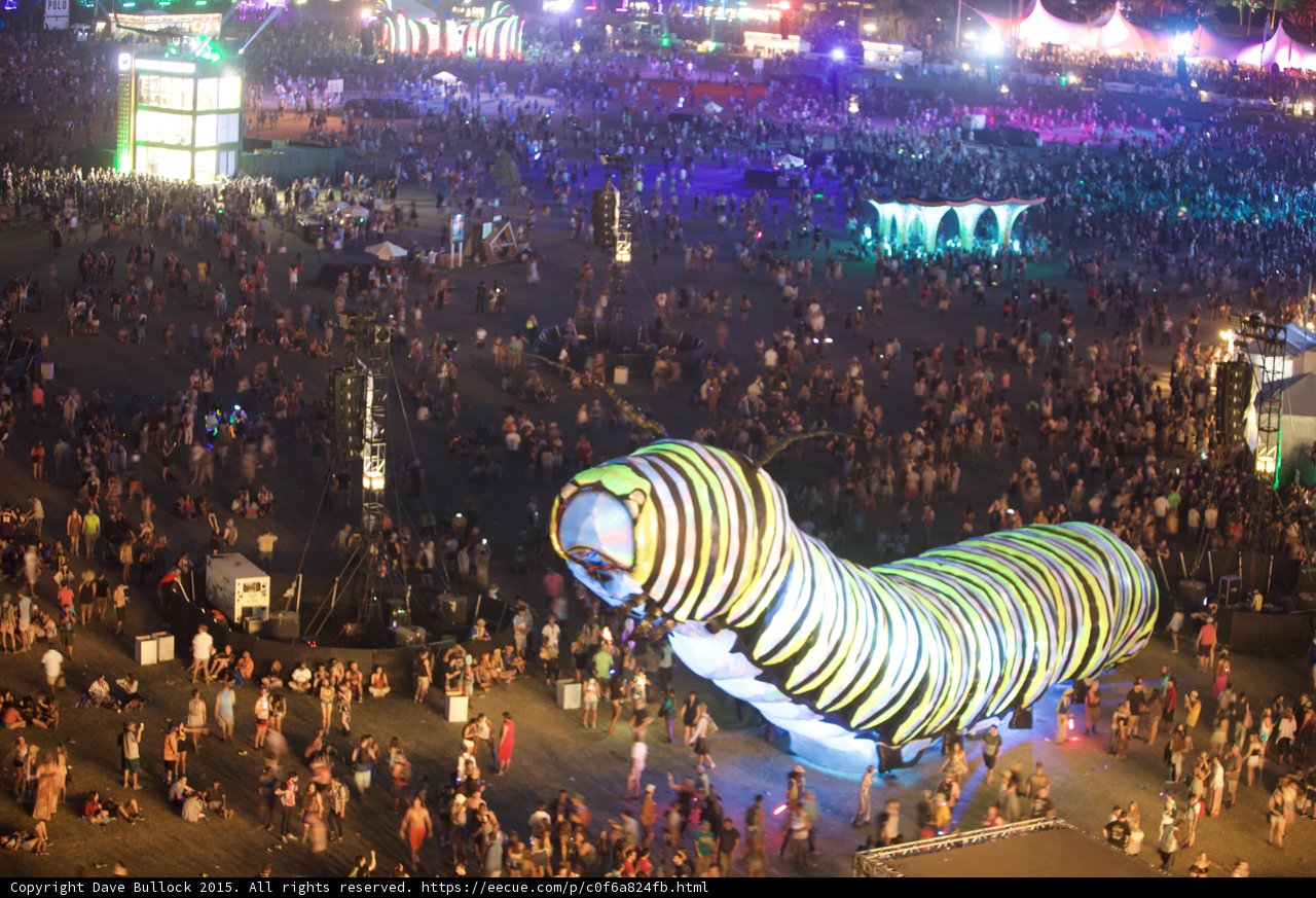 Night Carnival Chaos