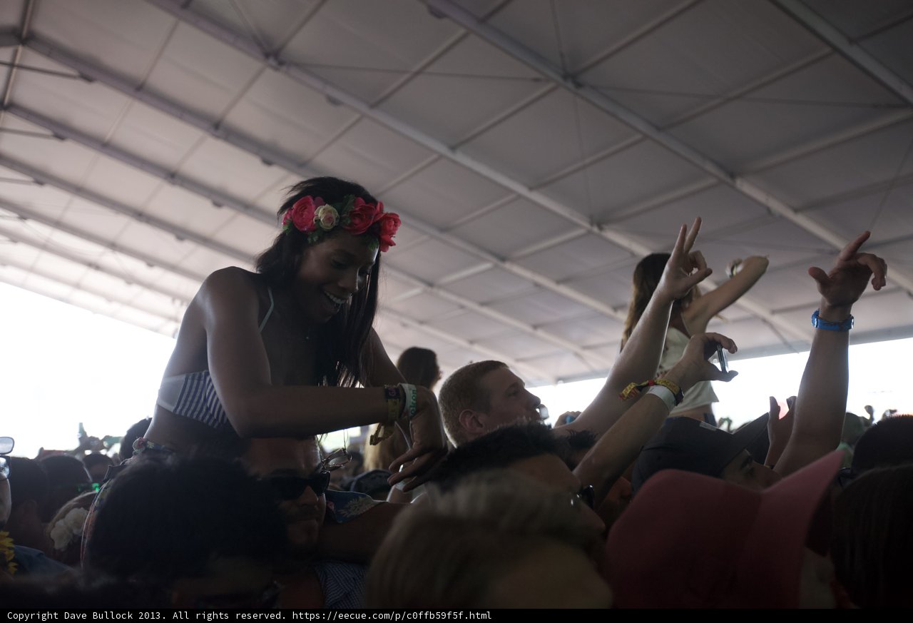 Music Festival Vibes