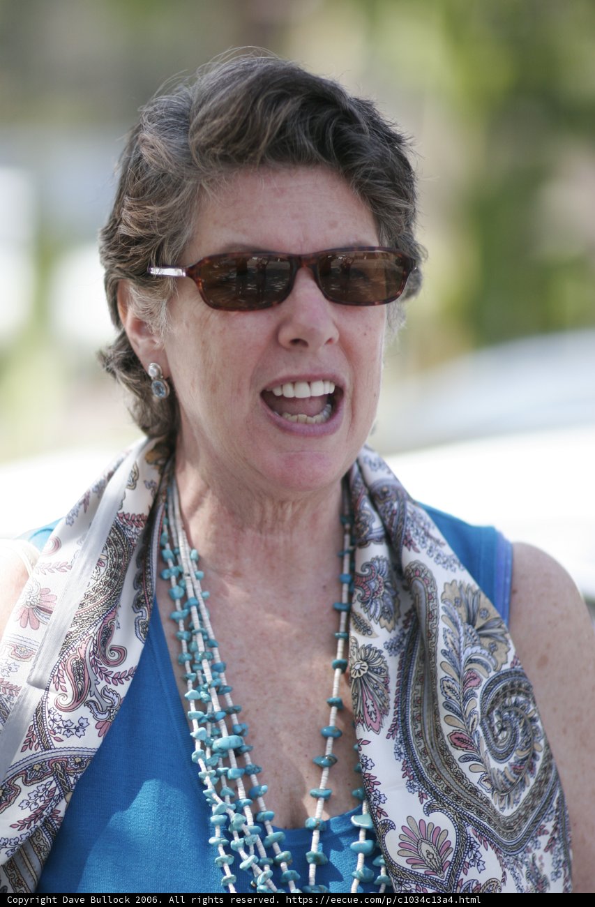 Stylish Sunglasses and Necklace