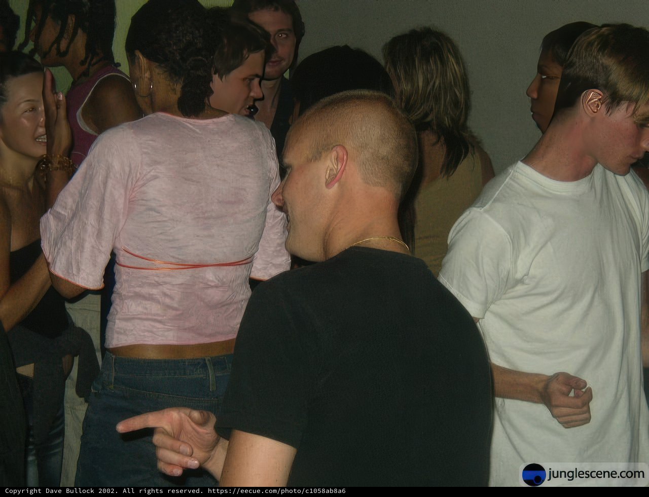 Nightclub Gathering