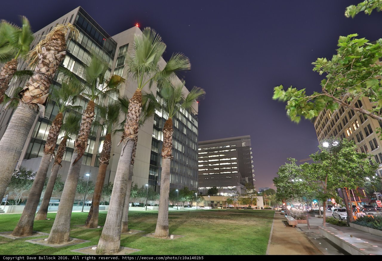 Night in the Metropolis Park