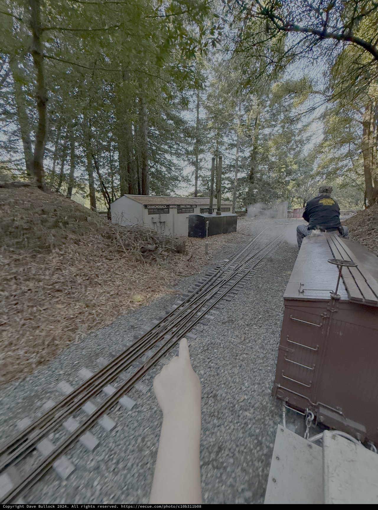 Vintage Railway Journey Through Forest