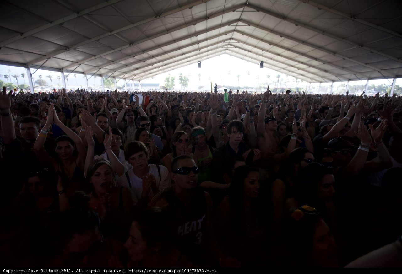 Wild Crowd at Coachella 2012