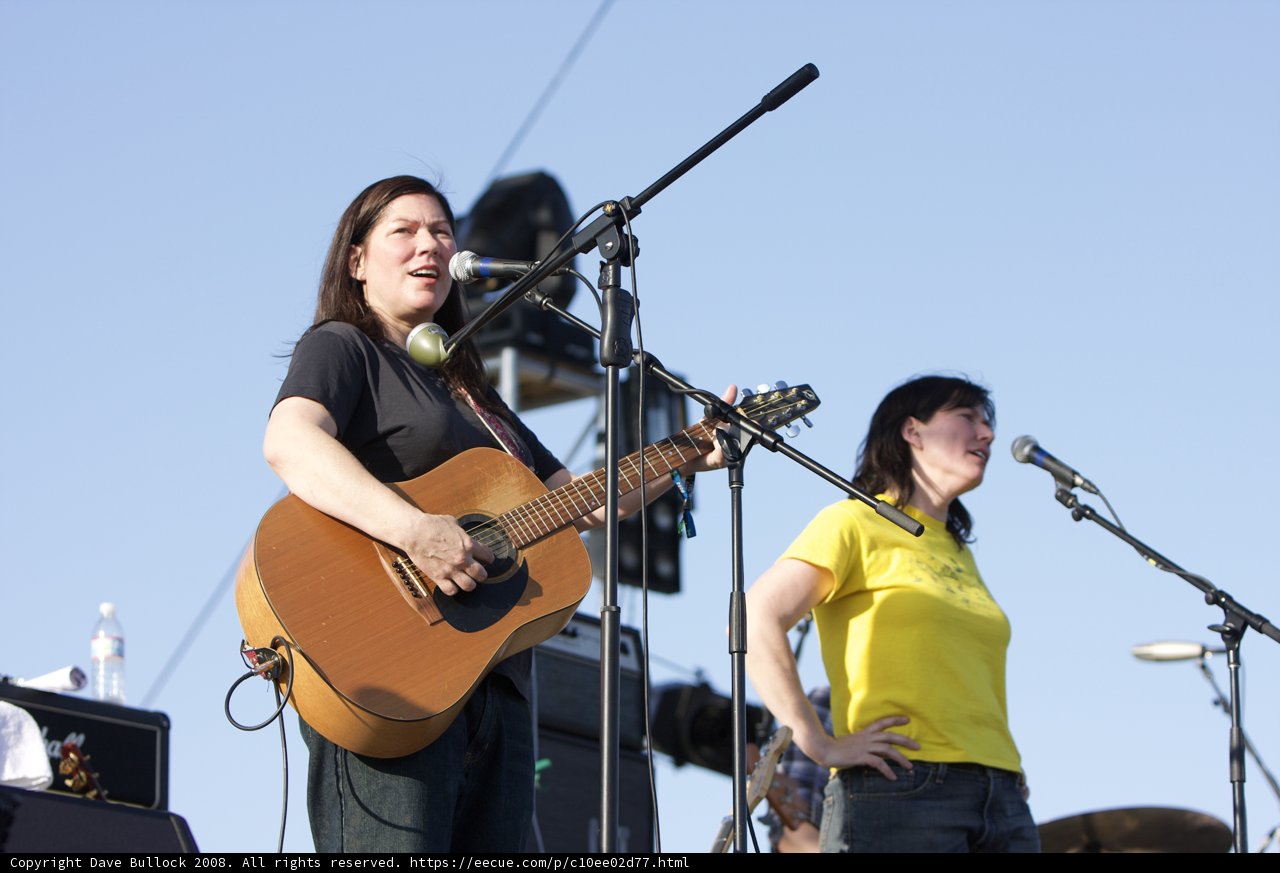 Coachella Concert Musicians Singing and Strumming