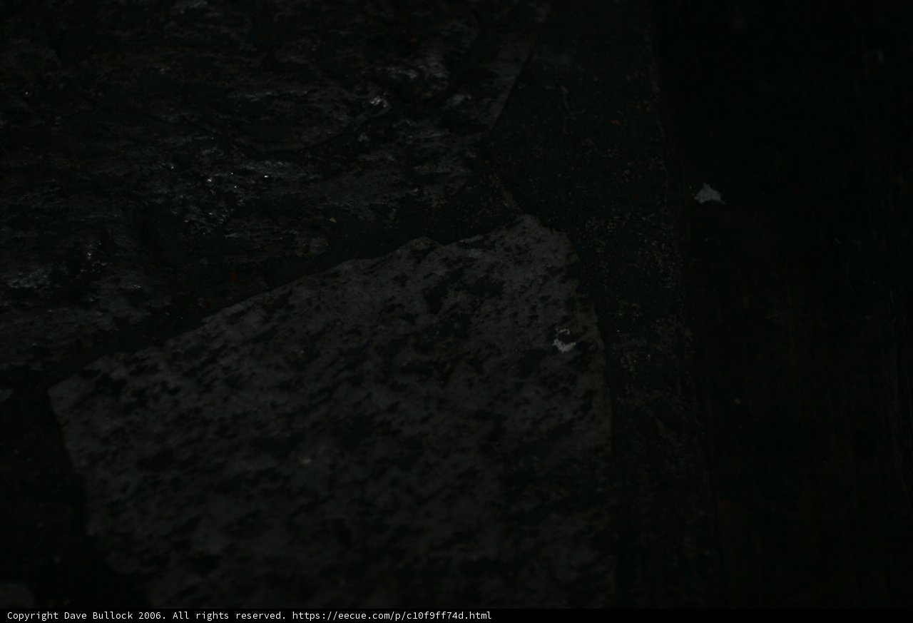 Standing Alone in the Dark