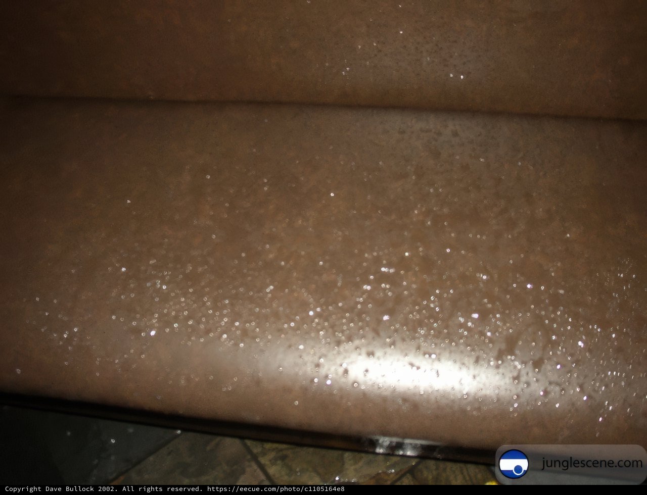 Soaked and Sofa-king Cool