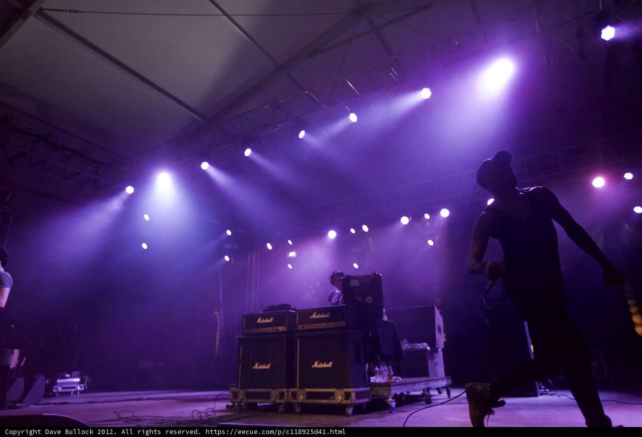 Purple Haze Performance