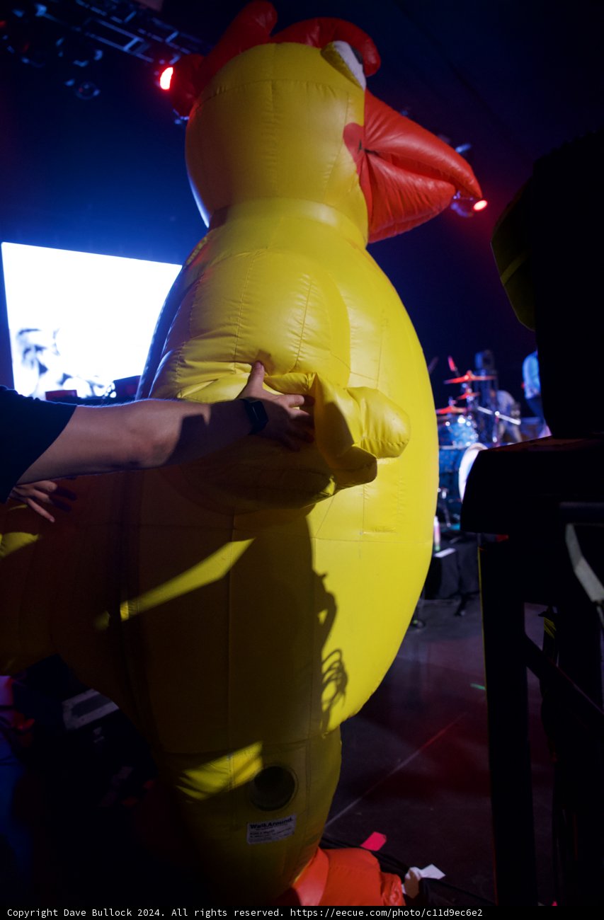 Nighttime Vibrance at Coachella: The Inflatable Encounter
