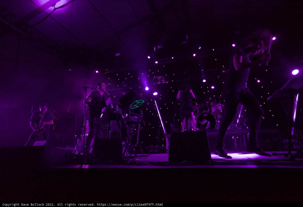 Rockin' the Purple Lights