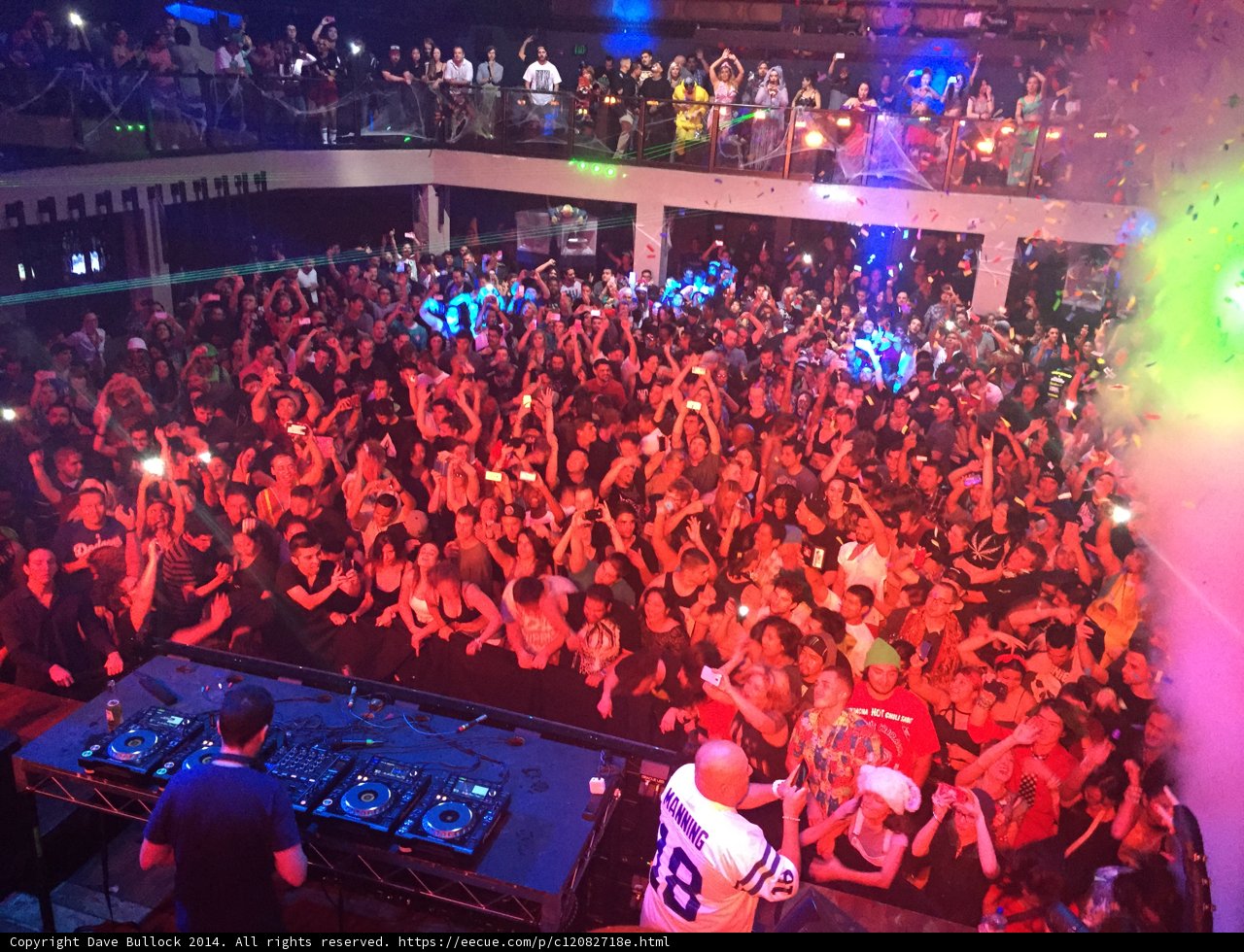 Nightlife Extravaganza