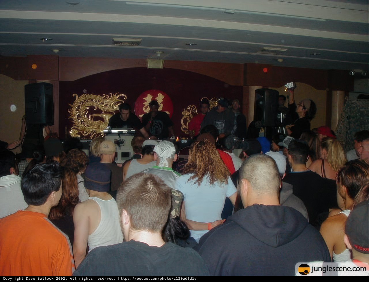 Urban Nightlife Concert