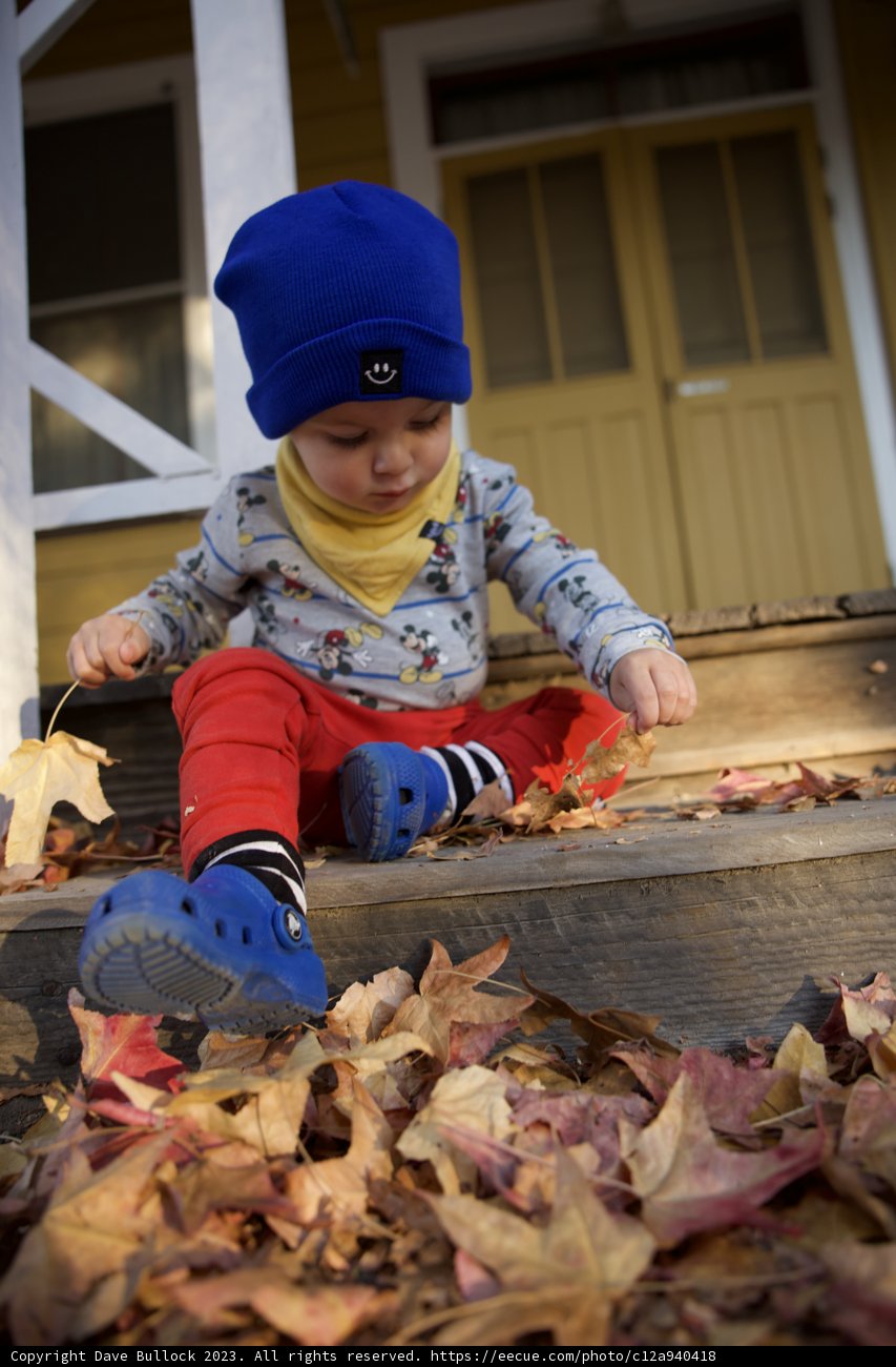 Wesley's Endearing Autumn Ensemble