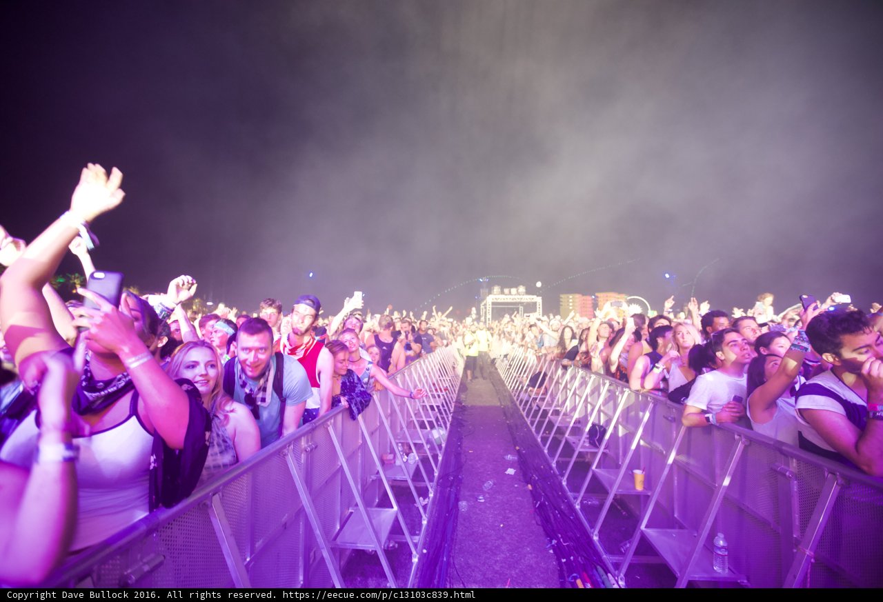 Shining Nights at Coachella