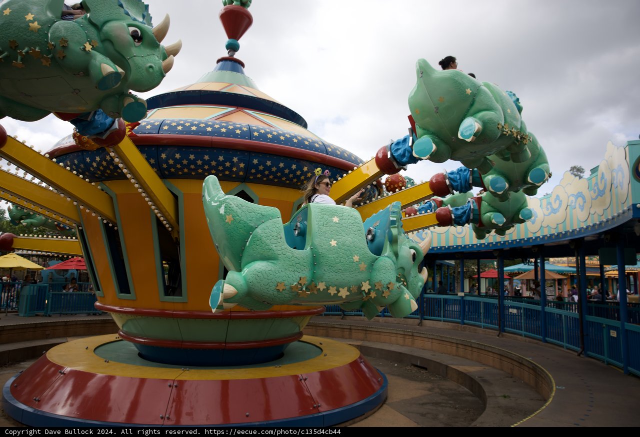 Magical Times at Disneyworld 2024