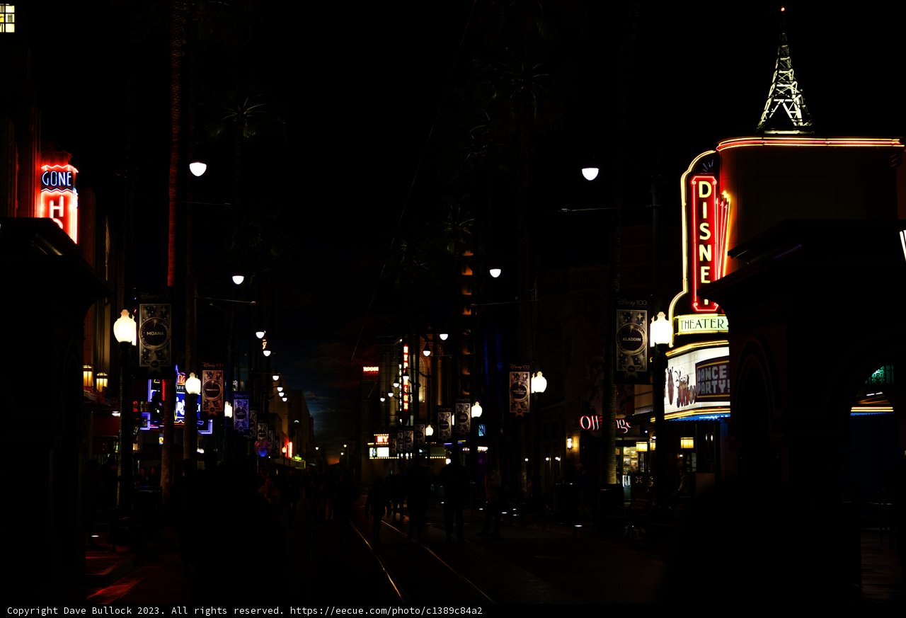 Nightlife in the Metropolis