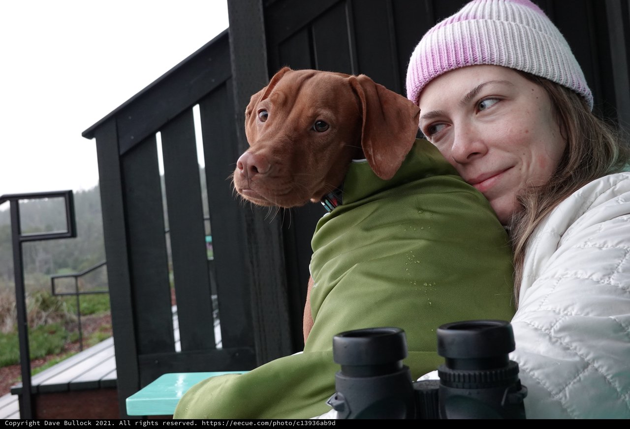 Woman and Dog Enjoying Outdoor Winter Moment