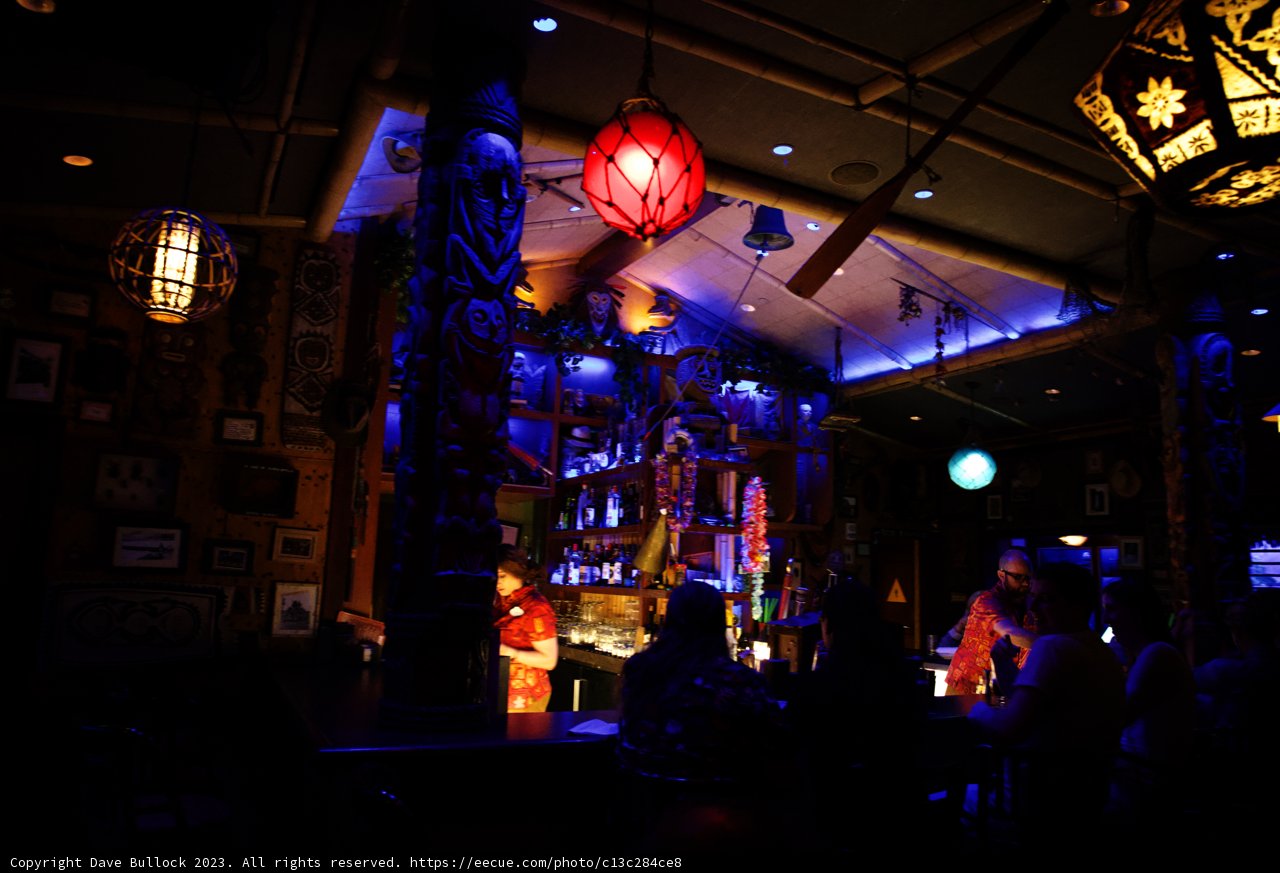 Lively Nights at the Urban Pub