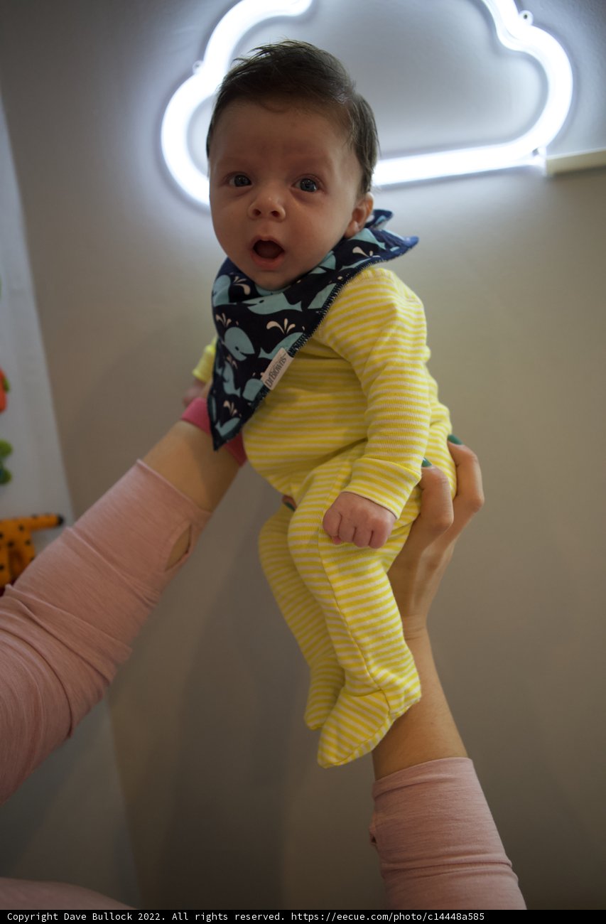 Embracing Precious Moments