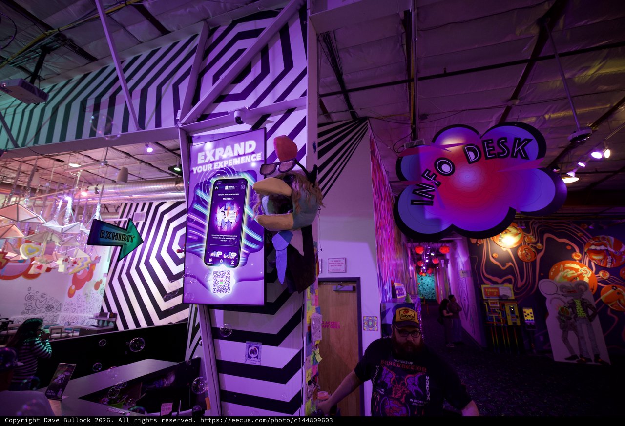 Immersive Digital Art Installation at Contemporary Exhibition Space