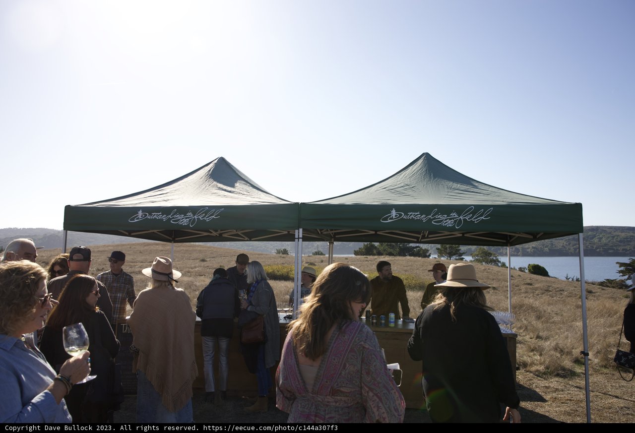 Engaging Gathering at Hog Island Oyster Co.