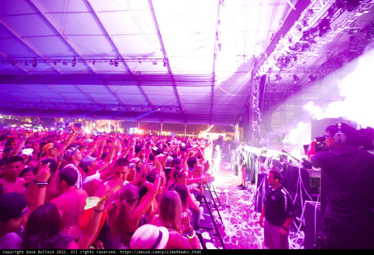 Purple-lit Crowd at Coachella Concert