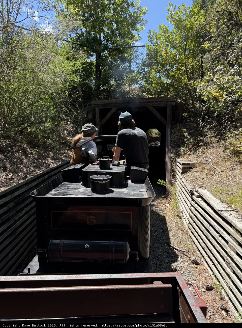 Journey into the Woodland Tunnel