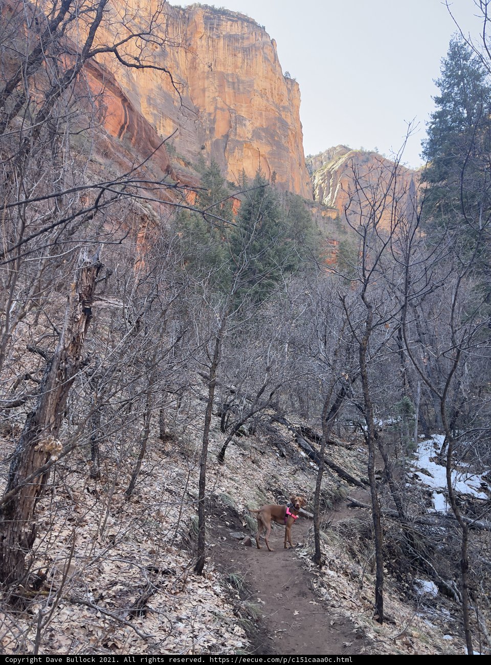 A Walk in the Coconino Wilderness